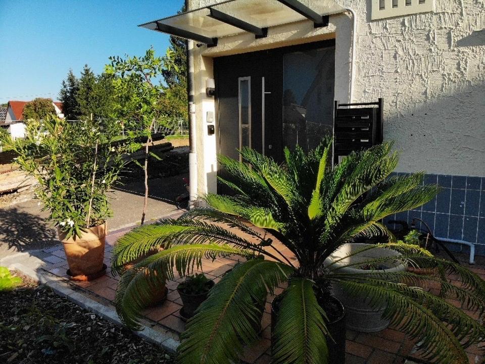 רויטלינגן Modernes Studio Mit Separater Kueche מראה חיצוני תמונה